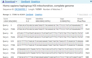 H3i haplogroup