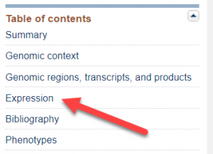 expression in table of contents