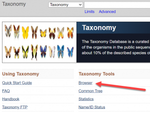 Taxonomy link to Browser